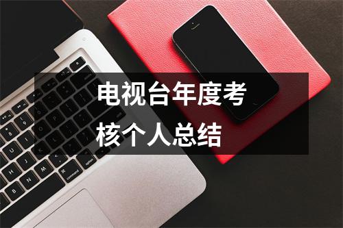 电视台年度考核个人总结